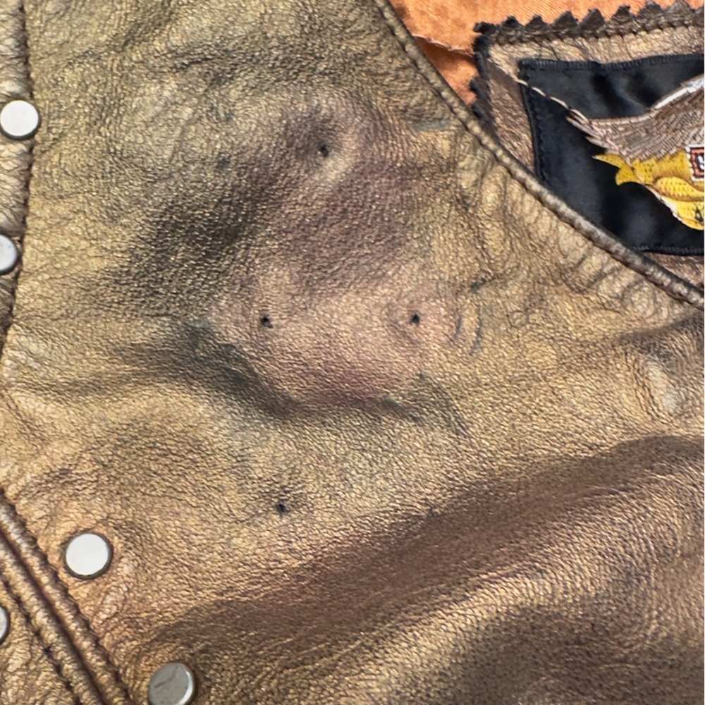 Vintage 2002 HARLEY DAVIDSON Women’s Metallic Leather Sleeveless Zip Front Vest - Picture 6 of 16
